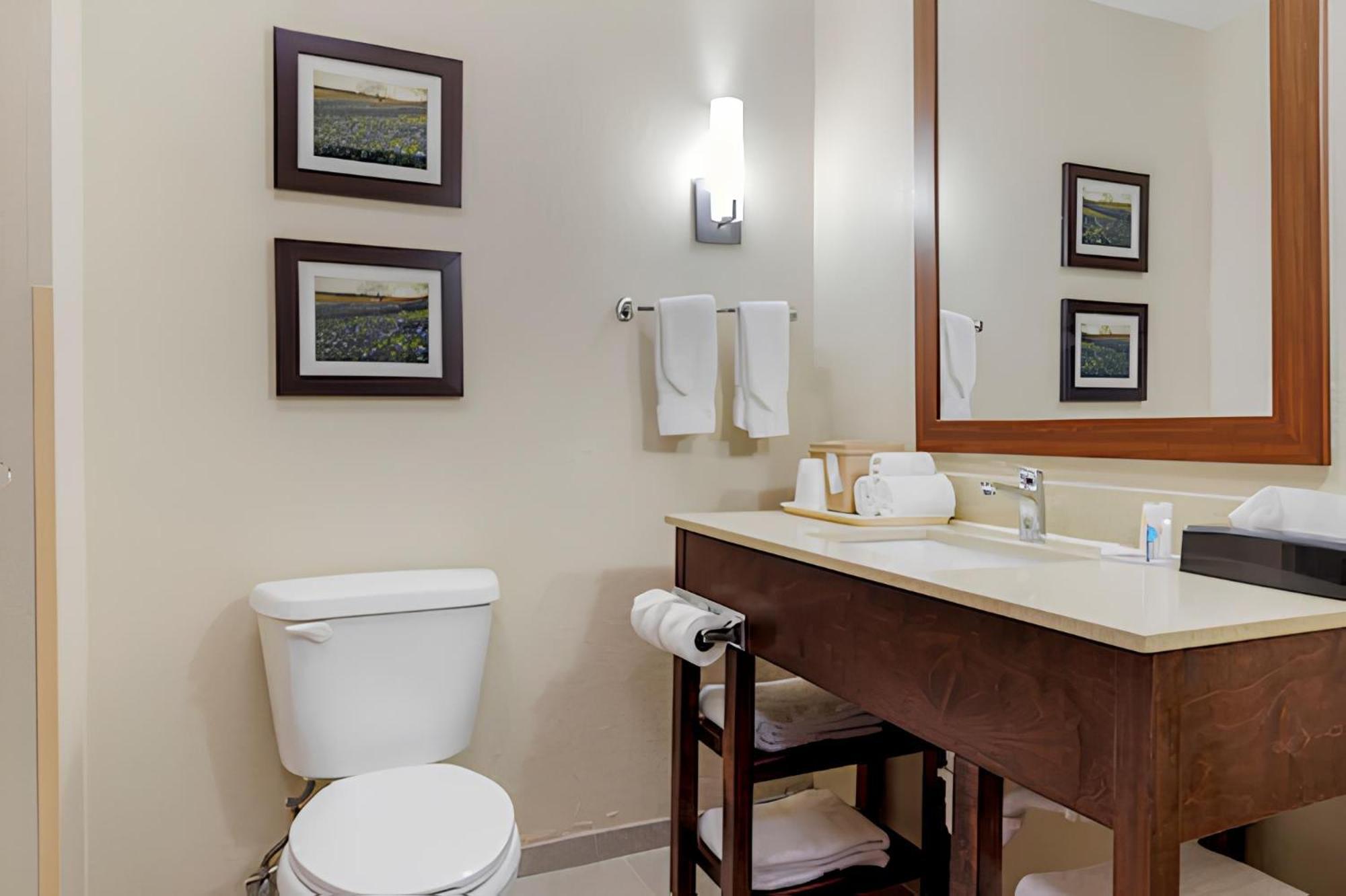 Comfort Suites Benbrook Kültér fotó