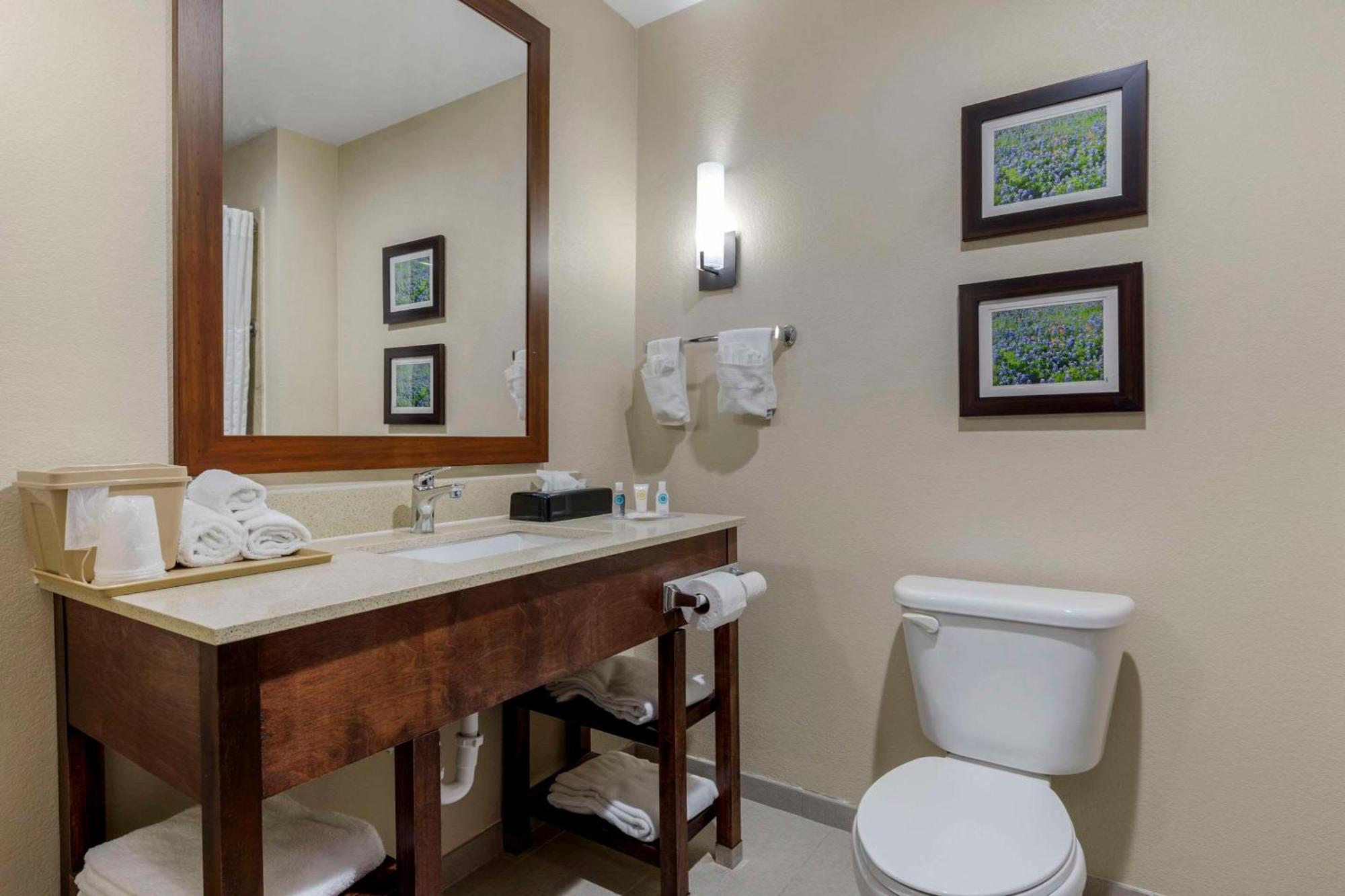 Comfort Suites Benbrook Kültér fotó
